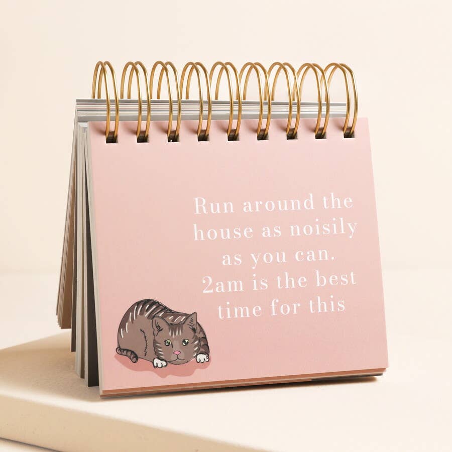 Be More Cat Flip Chart
