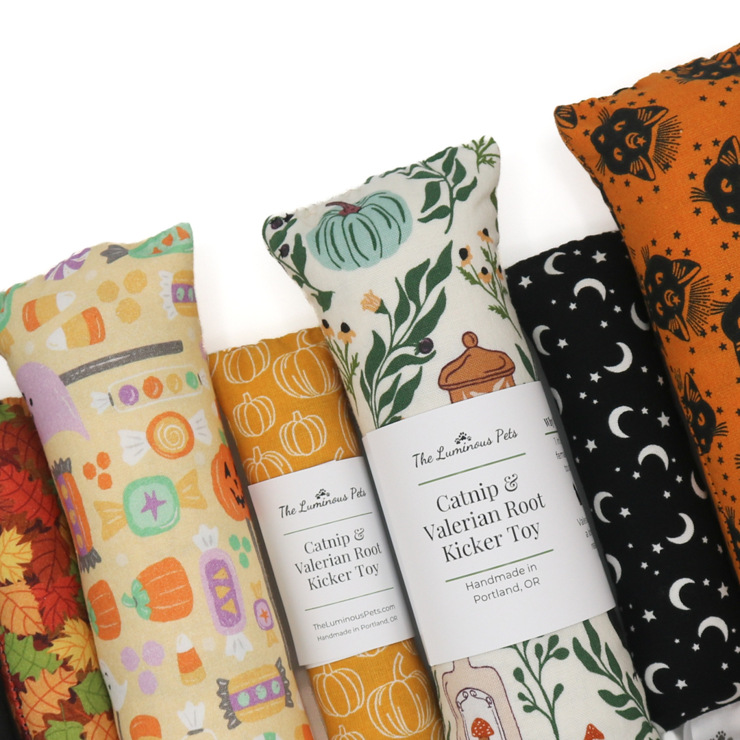 Fall & Halloween Catnip Toy Collection