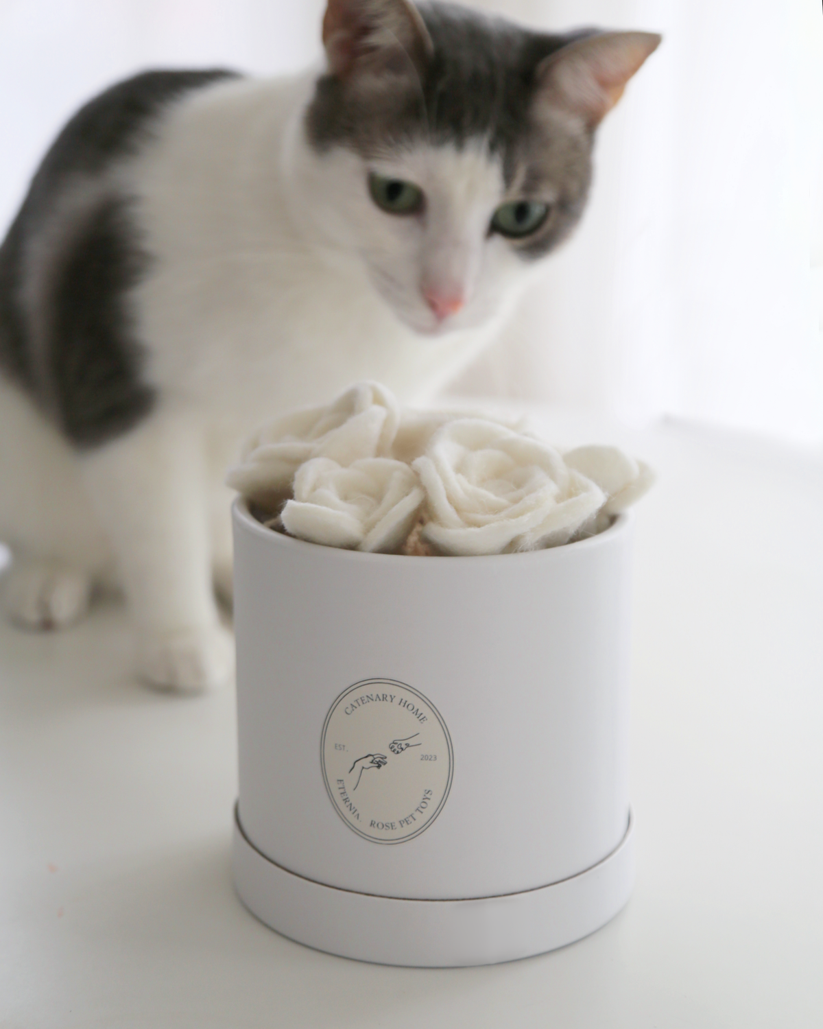 Flora Eterna Rose Cat Toy Set