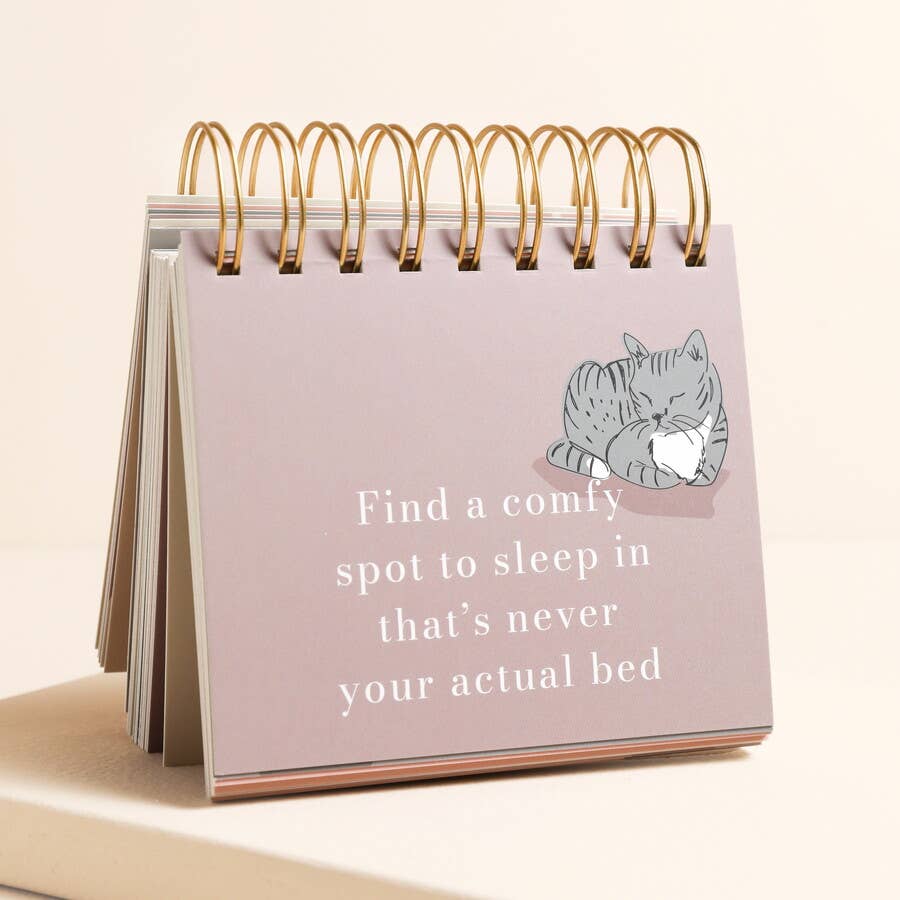 Be More Cat Flip Chart