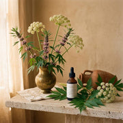 Gentle Changes Tincture