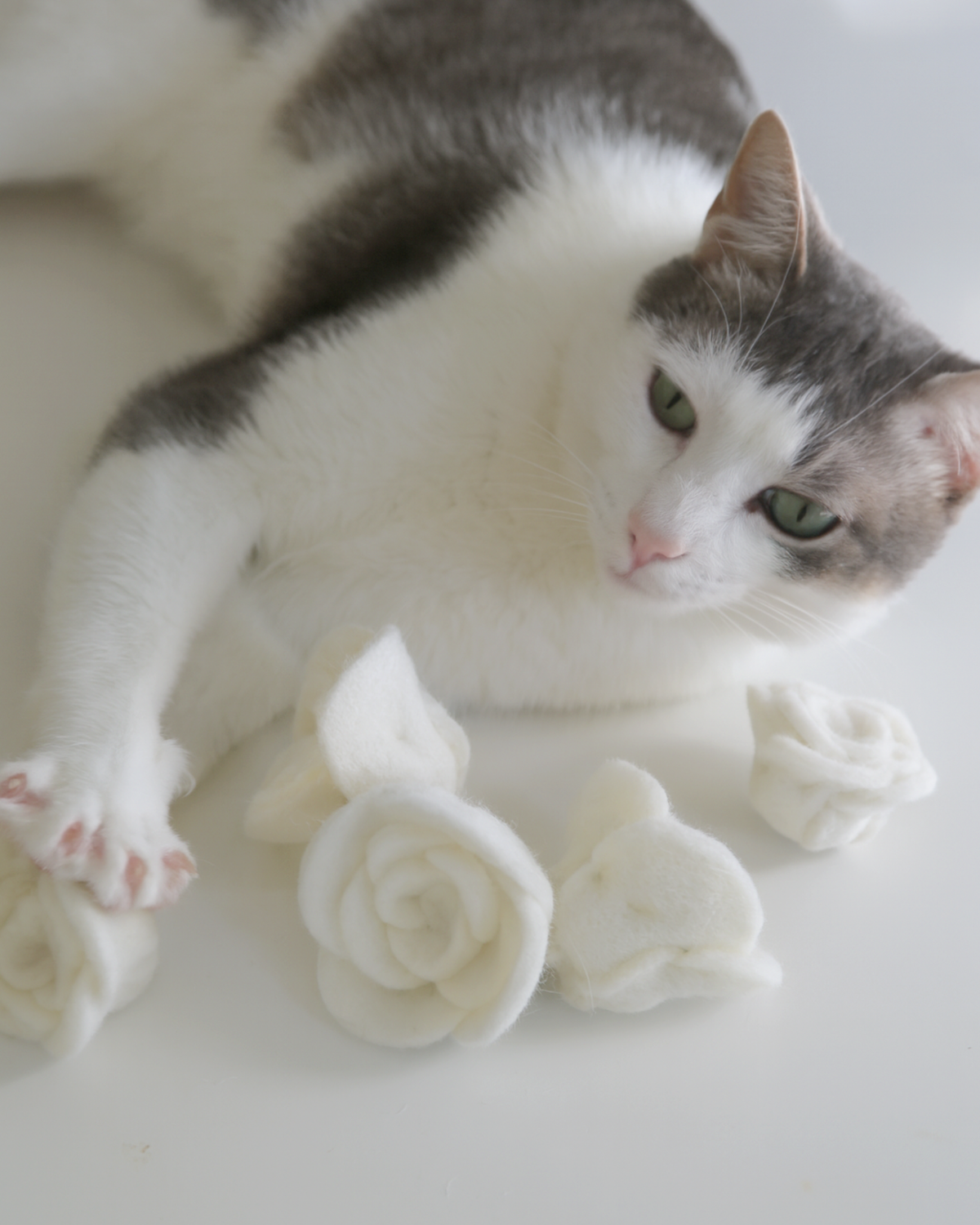 Flora Eterna Rose Cat Toy Set