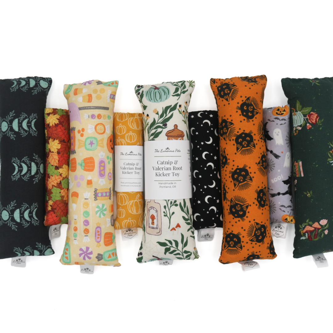 Fall & Halloween Catnip Toy Collection