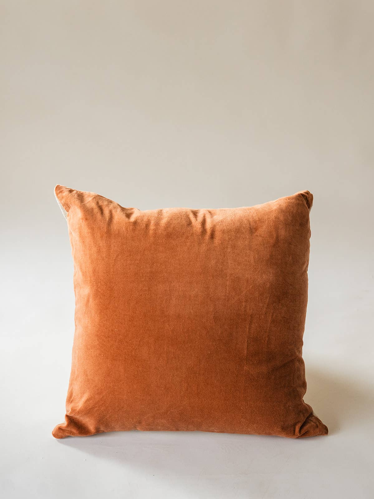 Luxe Linen & Velvet Throw Pillow