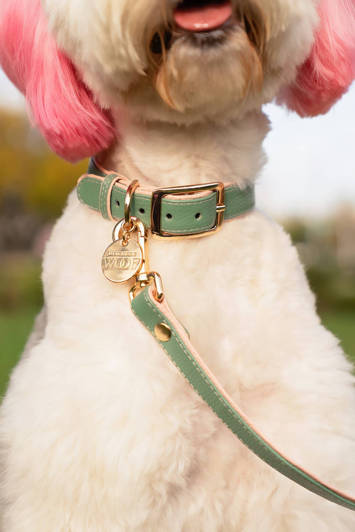 Beverly Hills Dog Collar