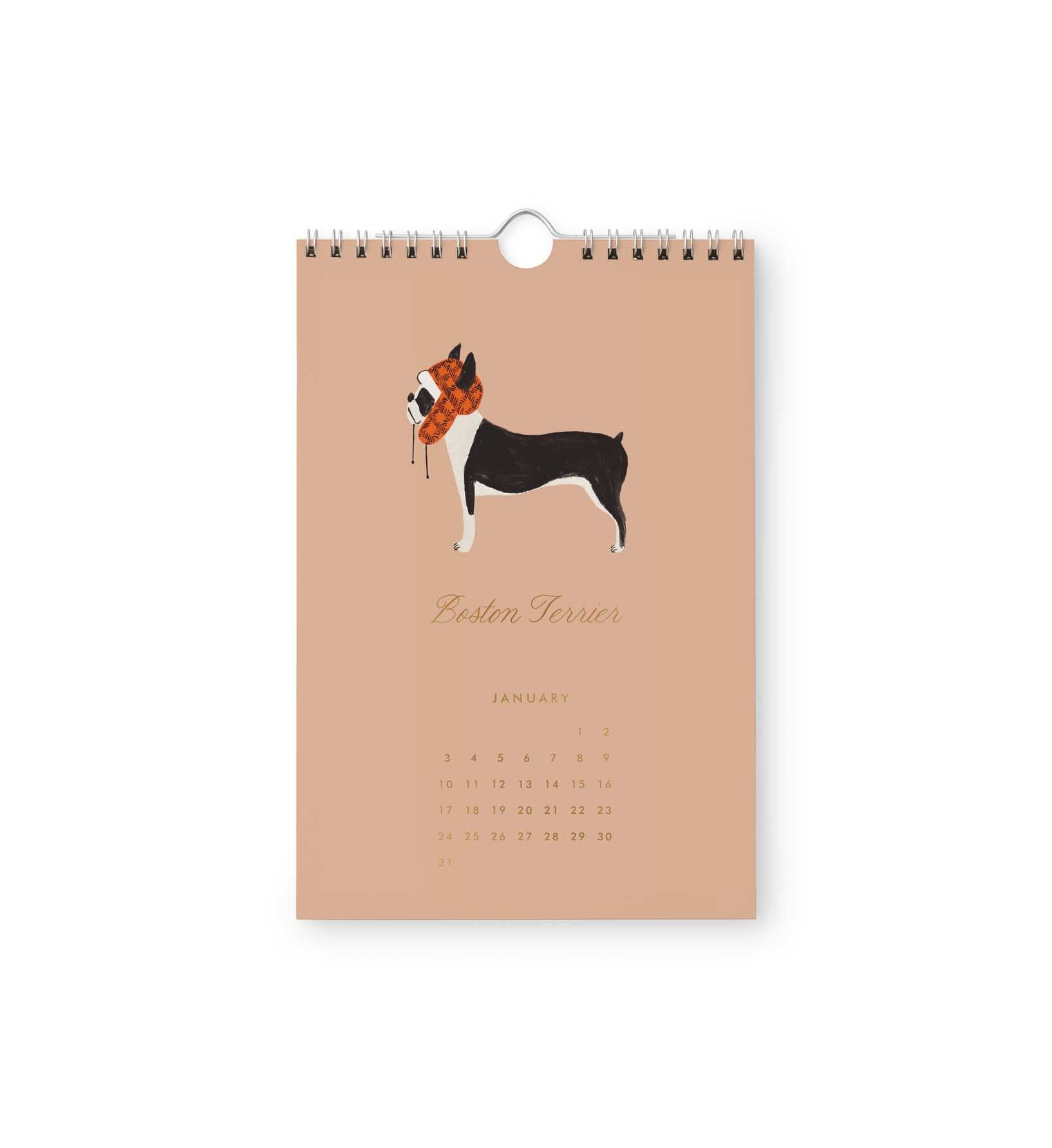 2027 Dogs Wall Calendar