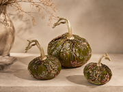 Embellished Velvet Sequin Pumpkin