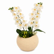 The Orchid House Arrangement