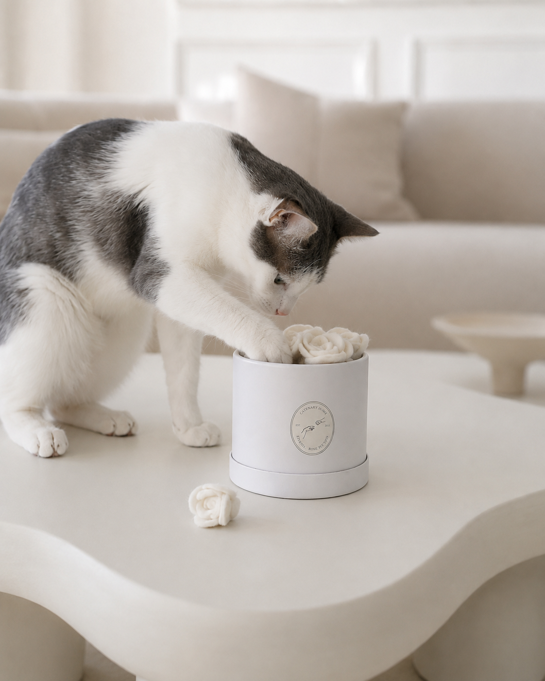 Flora Eterna Rose Cat Toy Set
