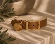 Hazelnut Dog Collar