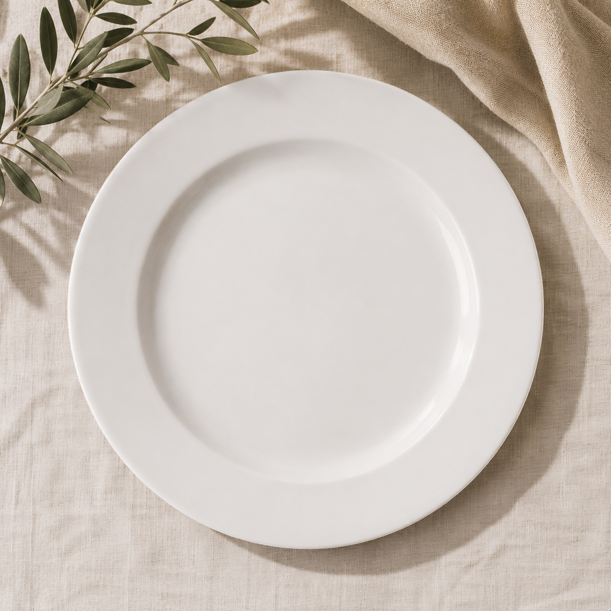 White Rimmed Dinner Plate
