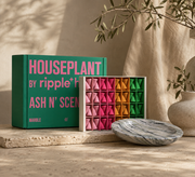 Houseplant by ripple⁺ Ash & Scent Set