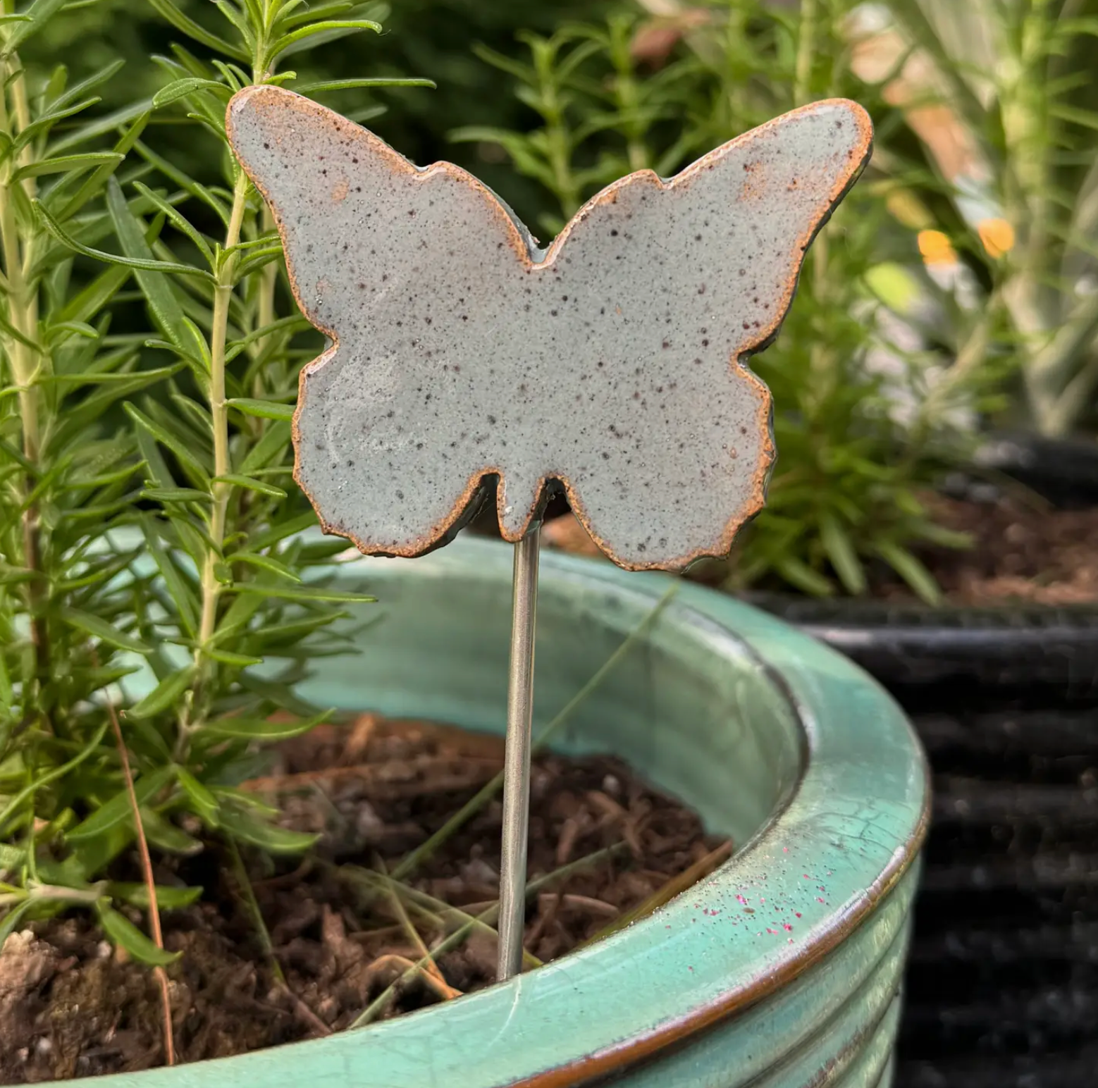 Plant Buddies