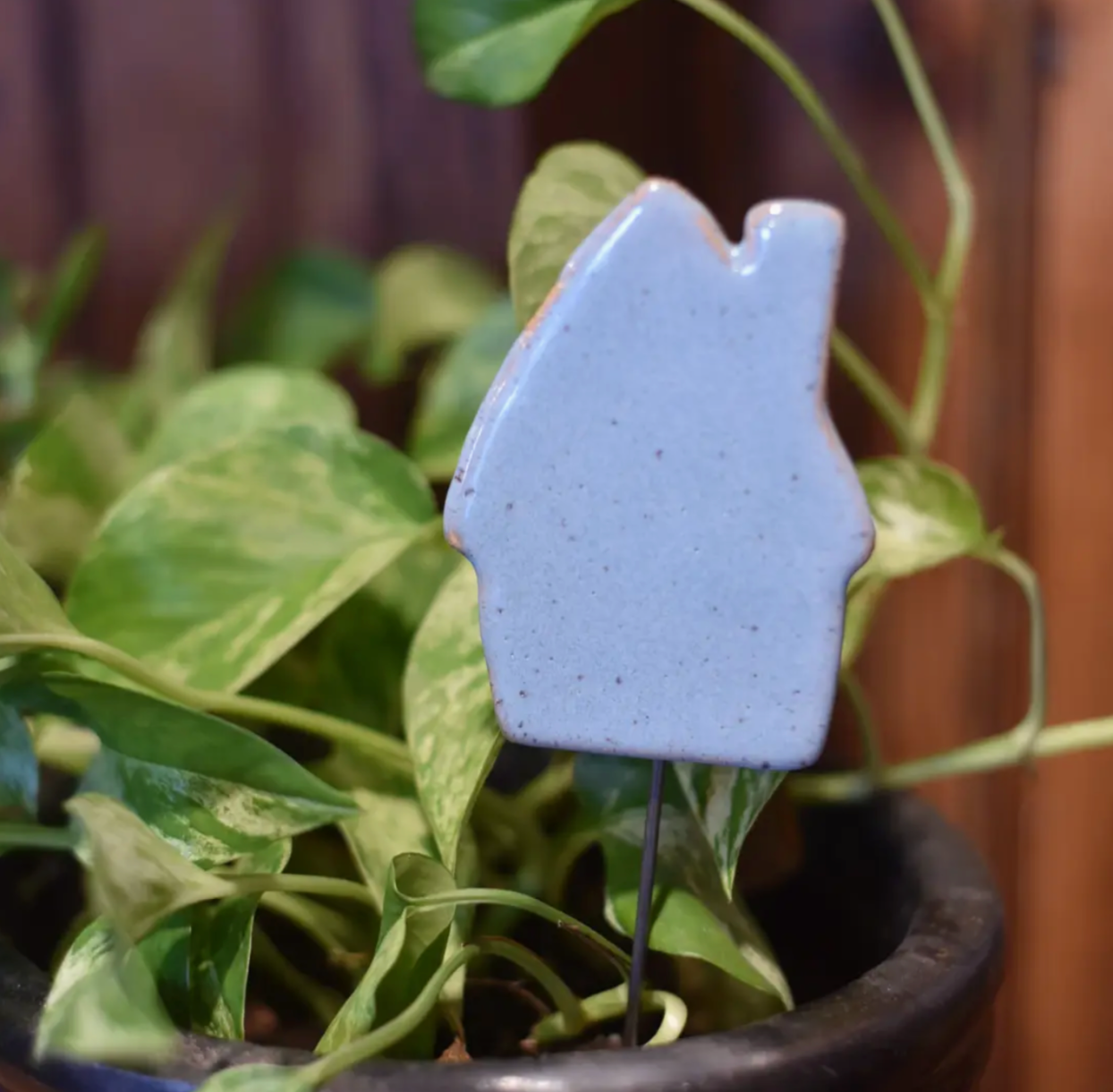 Plant Buddies