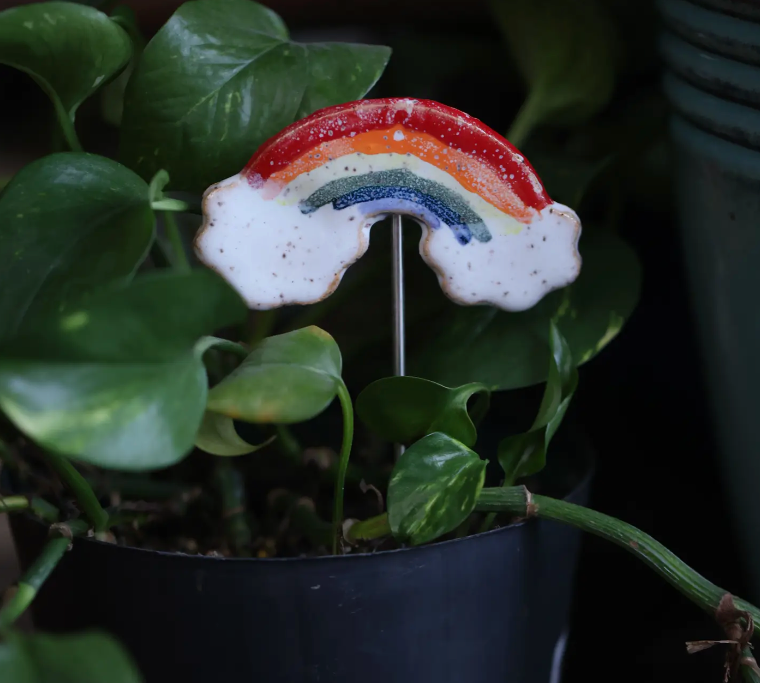 Plant Buddies