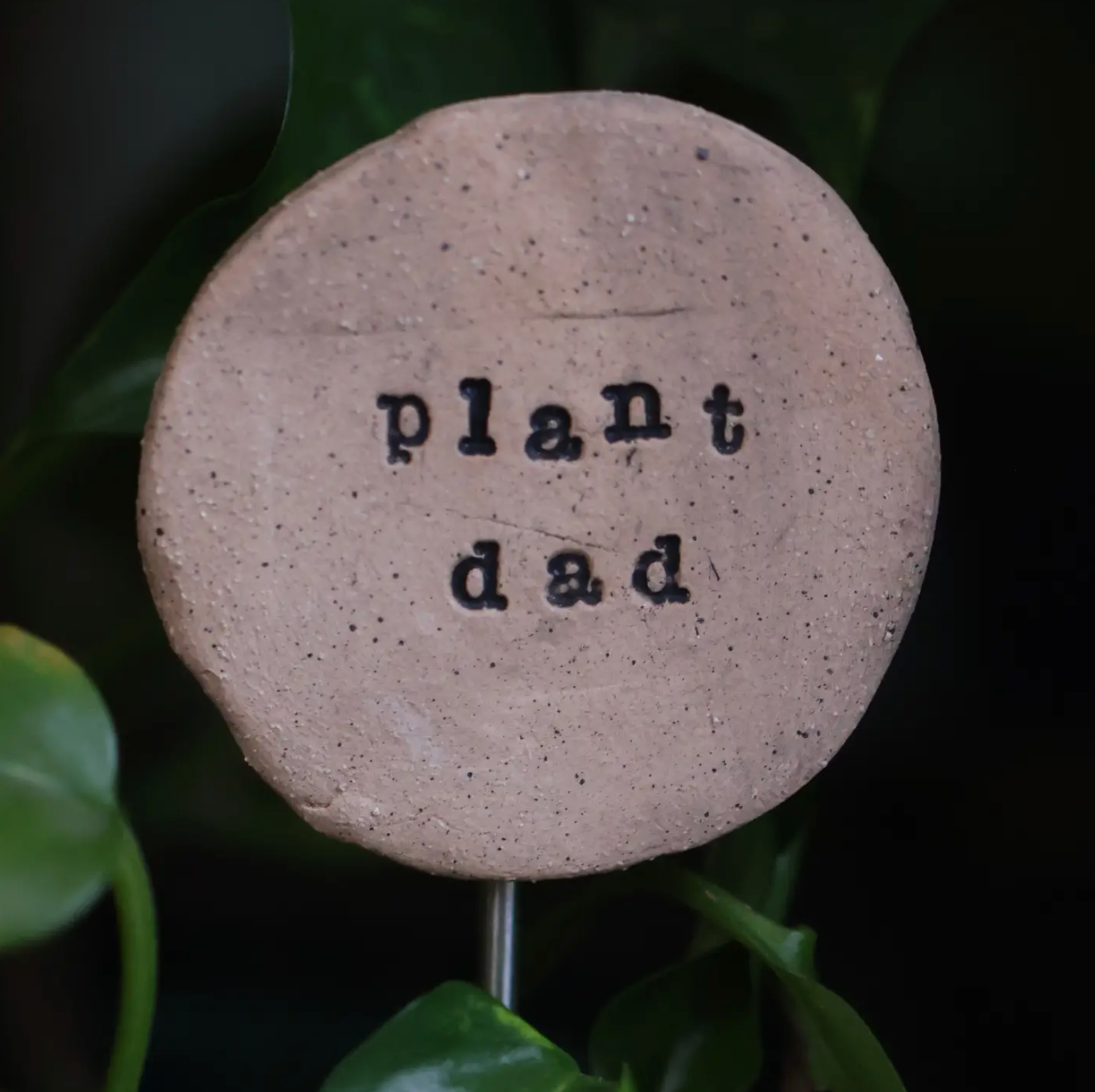 Plant Buddies