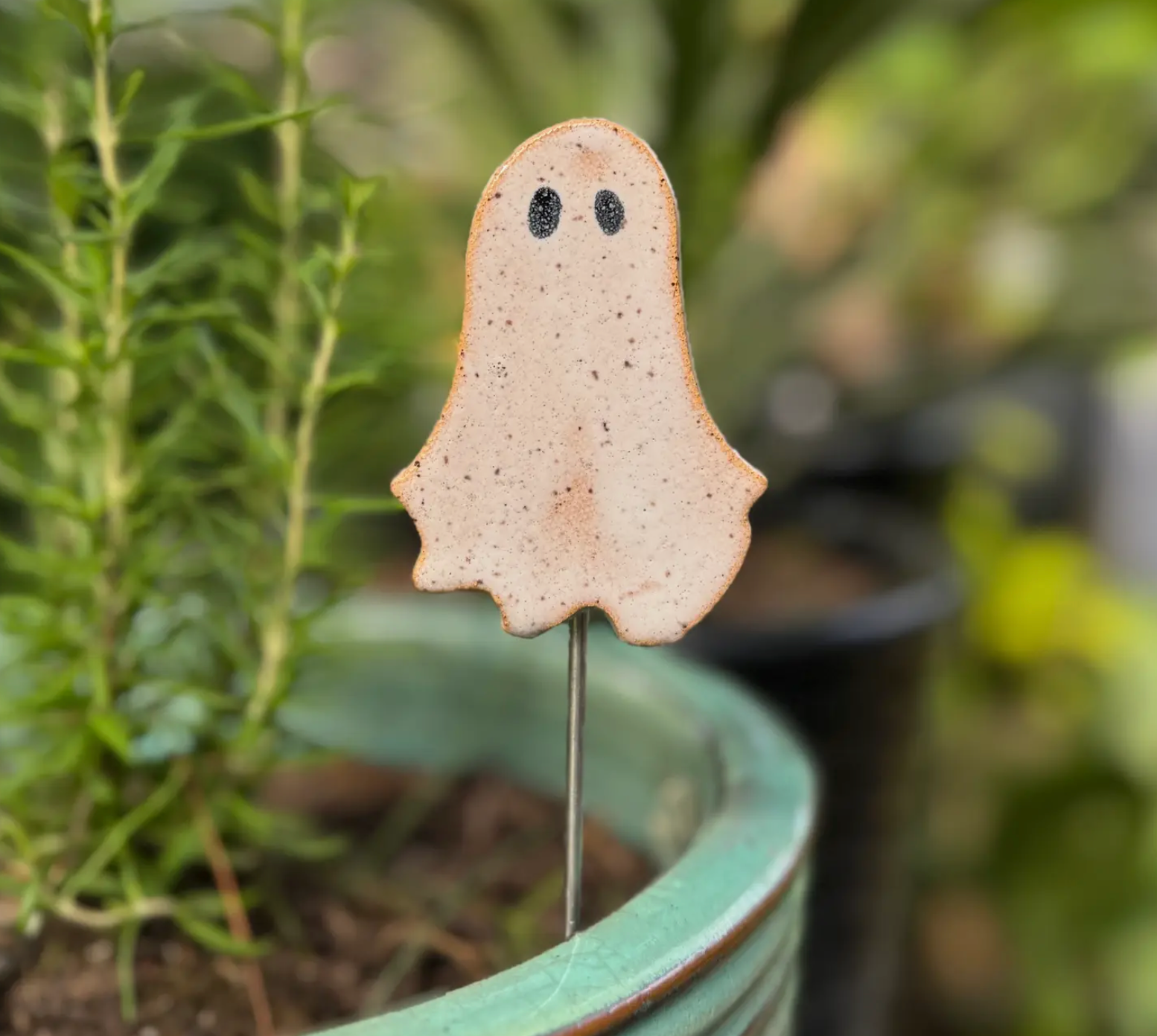 Plant Buddies