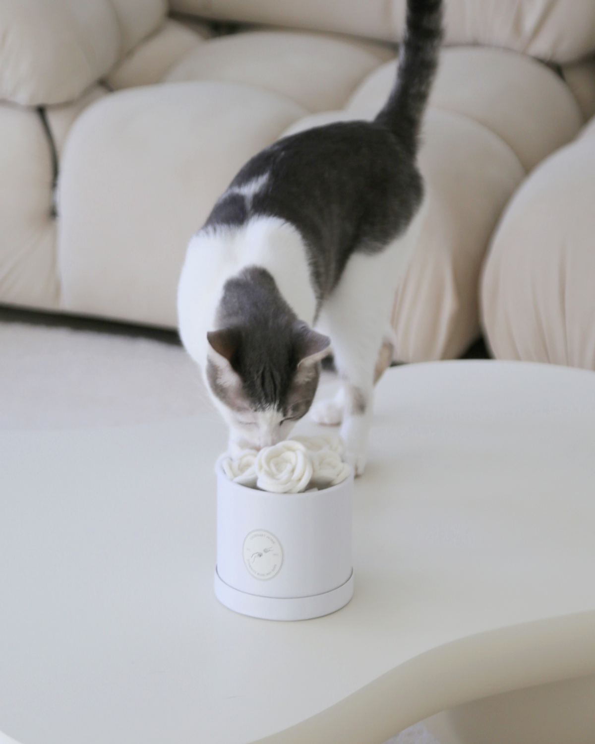 Flora Eterna Rose Cat Toy Set