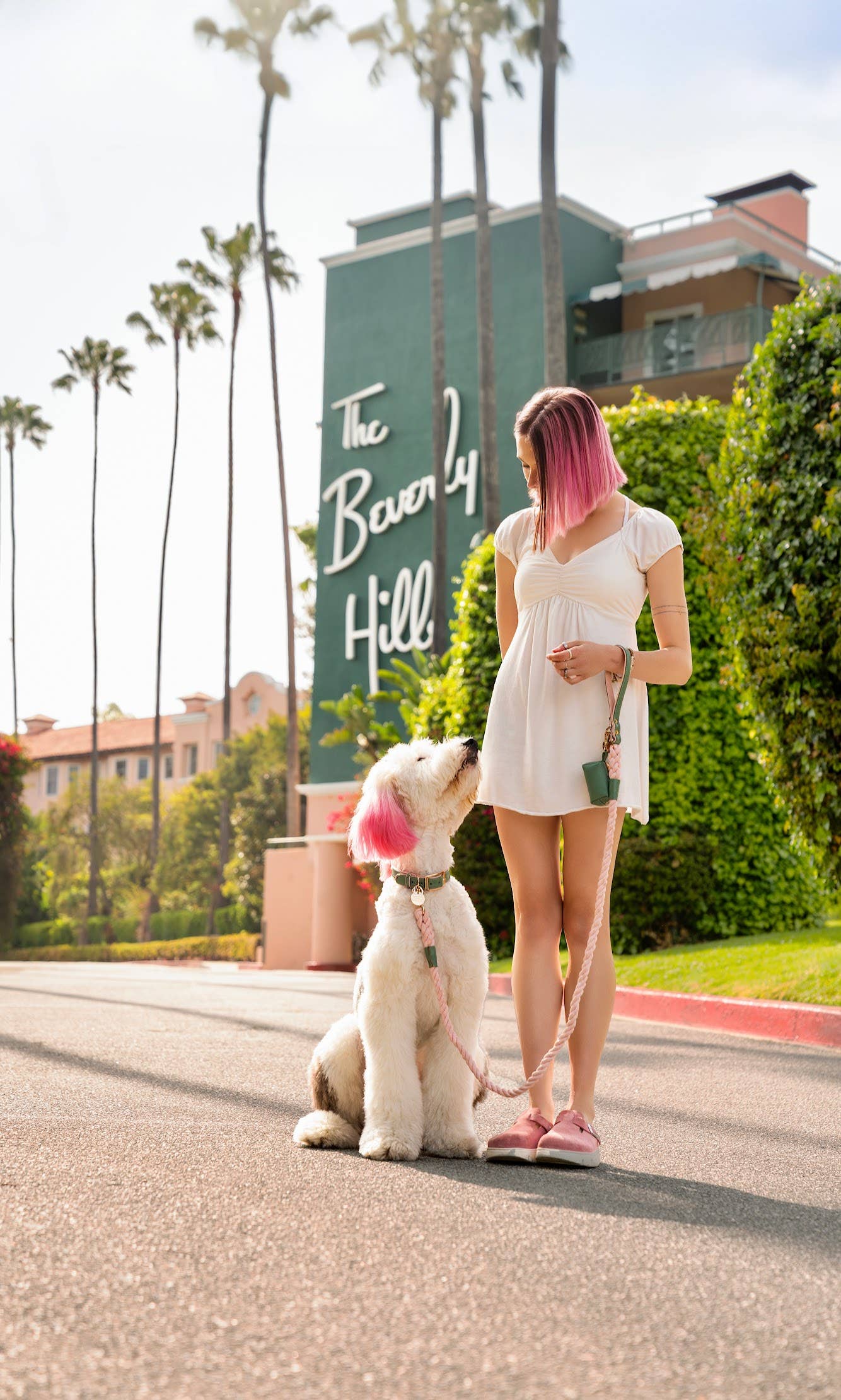 Beverly Hills Dog Collar