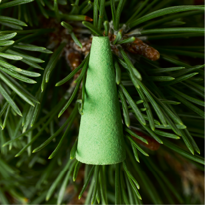 Houseplant by ripple⁺ Ash & Scent Set