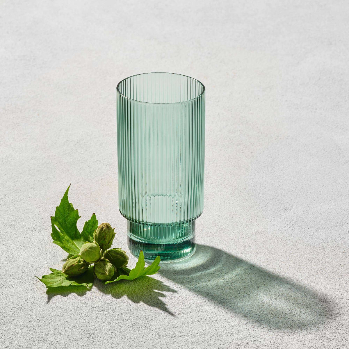 Malibu Ribbed Glassware | Green Collection