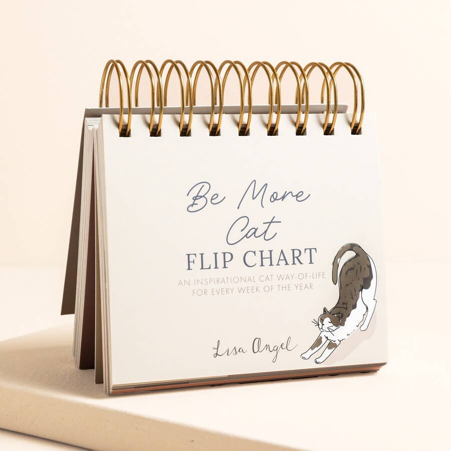 Be More Cat Flip Chart