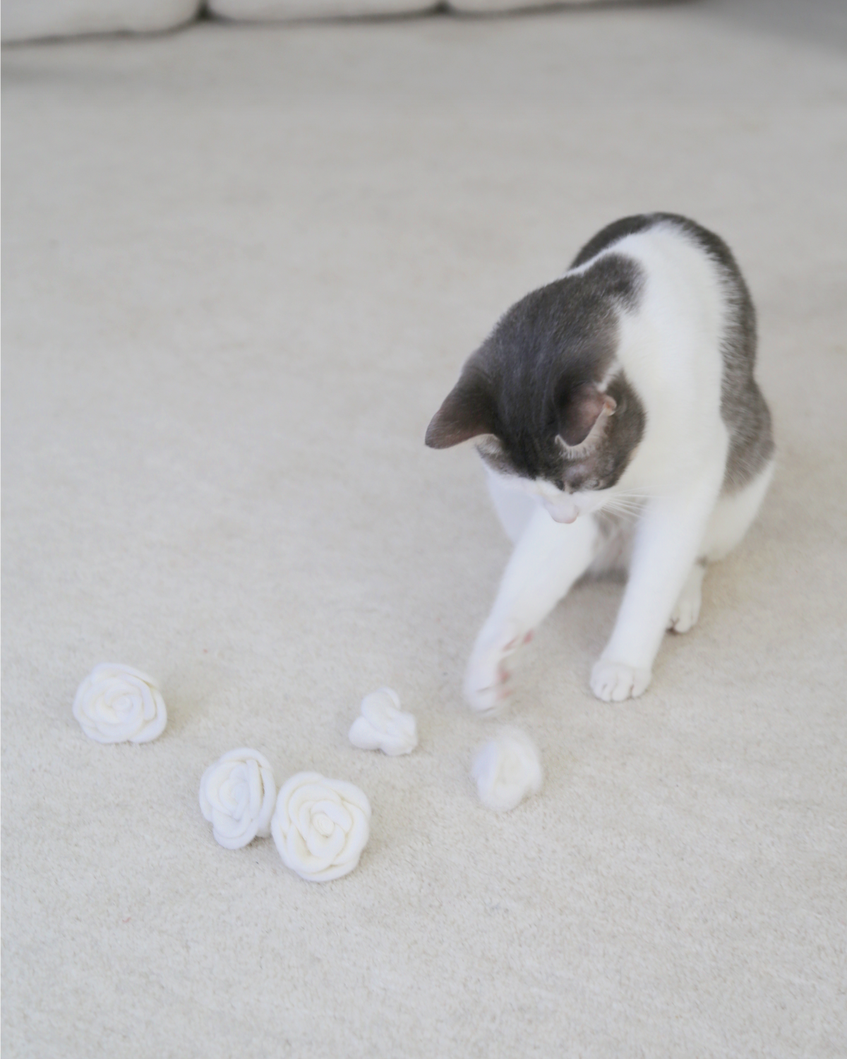 Flora Eterna Rose Cat Toy Set